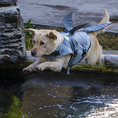 How to Train Your Dragon Dog Life Jacket Vest Floatation Vest Swimming Rescue Device Pet Lifesaver Swimsuit - INSWEAR