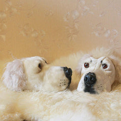 Unisex Winter Cotton Shoes Cute Realistic Labrador Slippers Home Warm Plush Shoes - INSWEAR