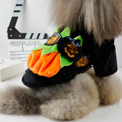 Funny Pet Coat Pumpkin Halloween Sweatshirt Outfit Cosplay Coat for Cat Dog Puppy Coat - INSWEAR