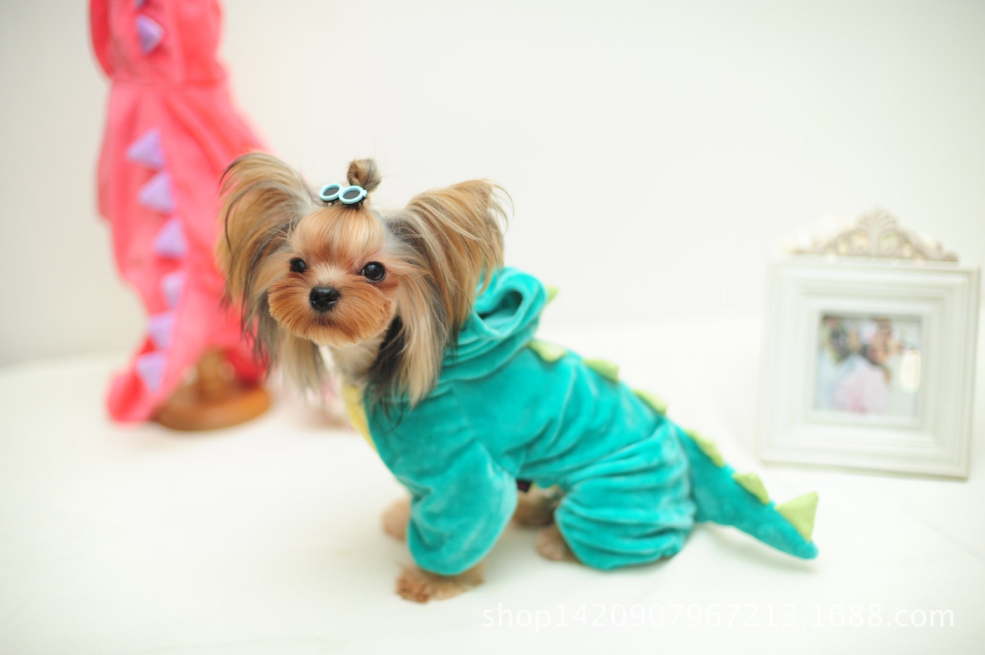 Pet Plush Outfit Dinosaur Costume with Hood for Small Dogs & Cats Jumpsuit Winter Coat Warm Clothes - INSWEAR