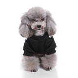 Cute Pet Skeleton Costume for Small Dogs Cats Clothes Halloween Day Party Skull Apparel - INSWEAR