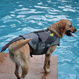 How to Train Your Dragon Dog Life Jacket Vest Floatation Vest Swimming Rescue Device Pet Lifesaver Swimsuit - INSWEAR
