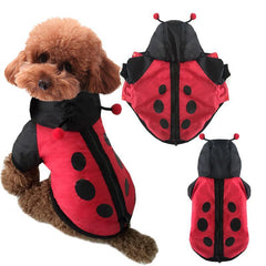 Funny Halloween Dog Ladybug Costume Clothes Winter Warm Small Dog Pet Cat Cotton Padded Jacket Coat - INSWEAR