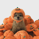Cute Pet Hat Halloween Pumpkin Pet Dog Cat Hat Dress Up Headdress Decorative Hat Pet Accessoires - INSWEAR